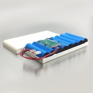 B11650 Oridion Optronics Capnostream 20 Monitor Battery Rebuild