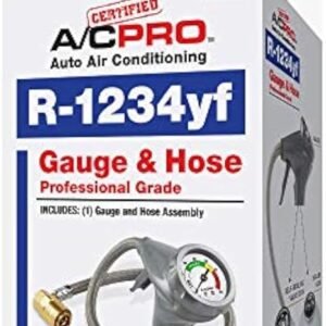 61XxWyFmDYL. AC SX466 .jpg