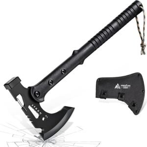 71PVN0bmHL. AC SX679 .jpg