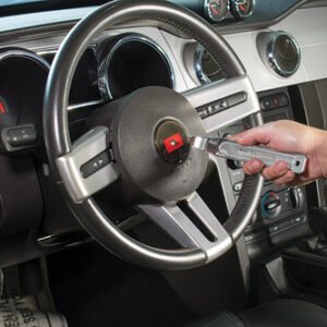 19535064 b350 4cd1 bc32 ce66fcbc5a60 TIT 11571 31626.1759335077.jpg