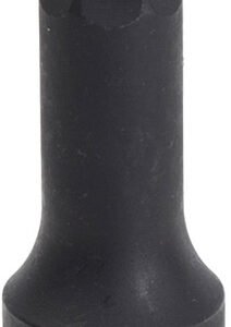 2618d889 0410 4b69 9ef0 97bb0afa6a6f SUN 26485 98012.1759406367.jpg