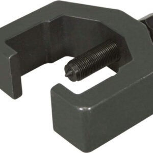 501c783c 1d3a 404d 8ec9 d1bdb9a9d2bb LIS 41970 31667.1759334185.jpg