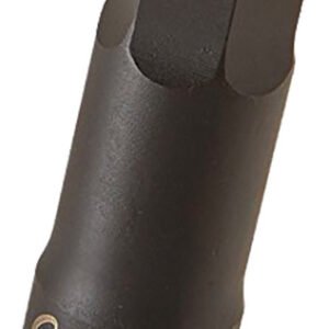 6284be96 2c1b 46a8 ba72 73688bf29be0 SUN 264910 46576.1759401875.jpg