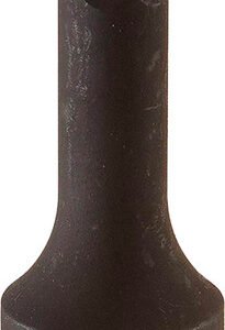 91ceef9f b434 41d5 a621 4d9c7494734b SUN 26483 77602.1759396723.jpg