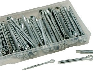 a40e3a30 1af6 4833 92e6 c541f953716f TIT 45206 20955.1759385138.jpg