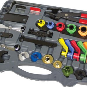 a700ceb5 8978 4748 8d45 80f822150578 LIS 39850 79101.1759471565.jpg