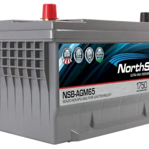 NSB AGM65 grande 1.webp