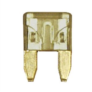509101.jpg