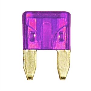 509102.jpg