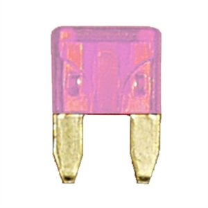 509103.jpg