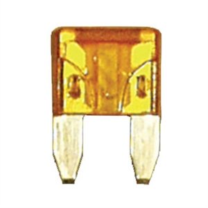 509105.jpg