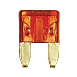 509106.jpg