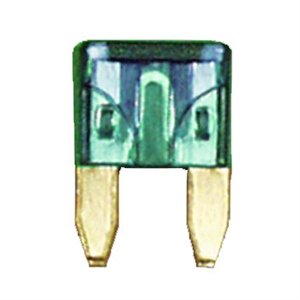 509107.jpg