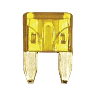 509108.jpg
