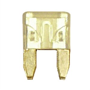 509109.jpg