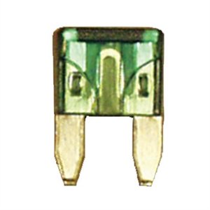 509110.jpg