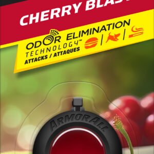 Armor All ChryBlst 1-Pack Air Freshener