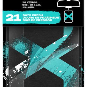 Axe Hanging Car Air Freshener, Apollo Scent