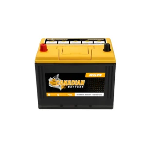 Canadian Battery 24C-925AGM – Group 24 Premium AGM Automotive Starting Battery – 750 CCA / 925 CA / 140 RC