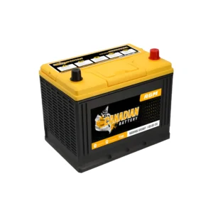 Canadian Battery Store
